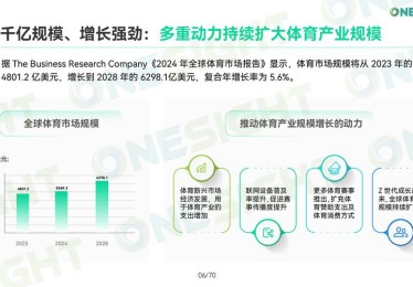 华体会体育app解析：电竞博彩新手入门攻略，快速了解博彩技巧