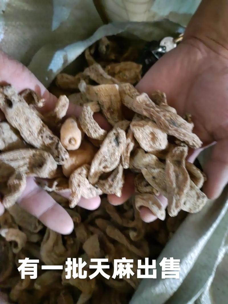 华体会体育app快讯：轮盘赌中的直注和分注，哪个更有优势？