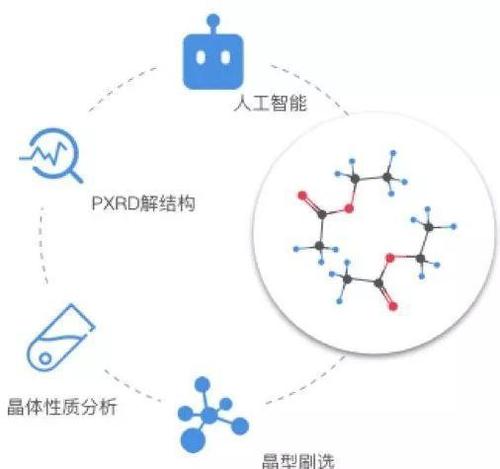 华体会体育平台全景呈现：从教练到球员，深度探讨如何通过团队协作实现赛场内外的共同进步