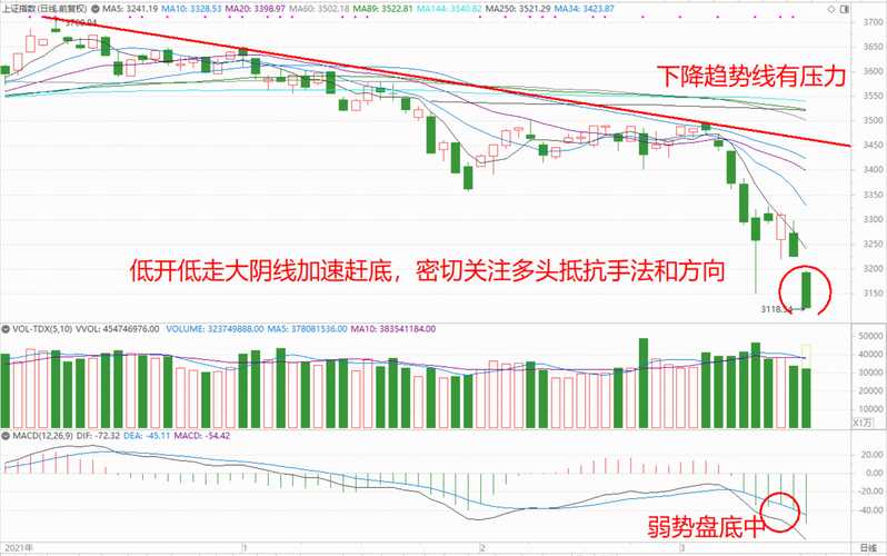 华体会体育全景记录：盘点体育博彩中的经典案例，详解赔率波动、盘口调整与风险对冲策略的核心要素